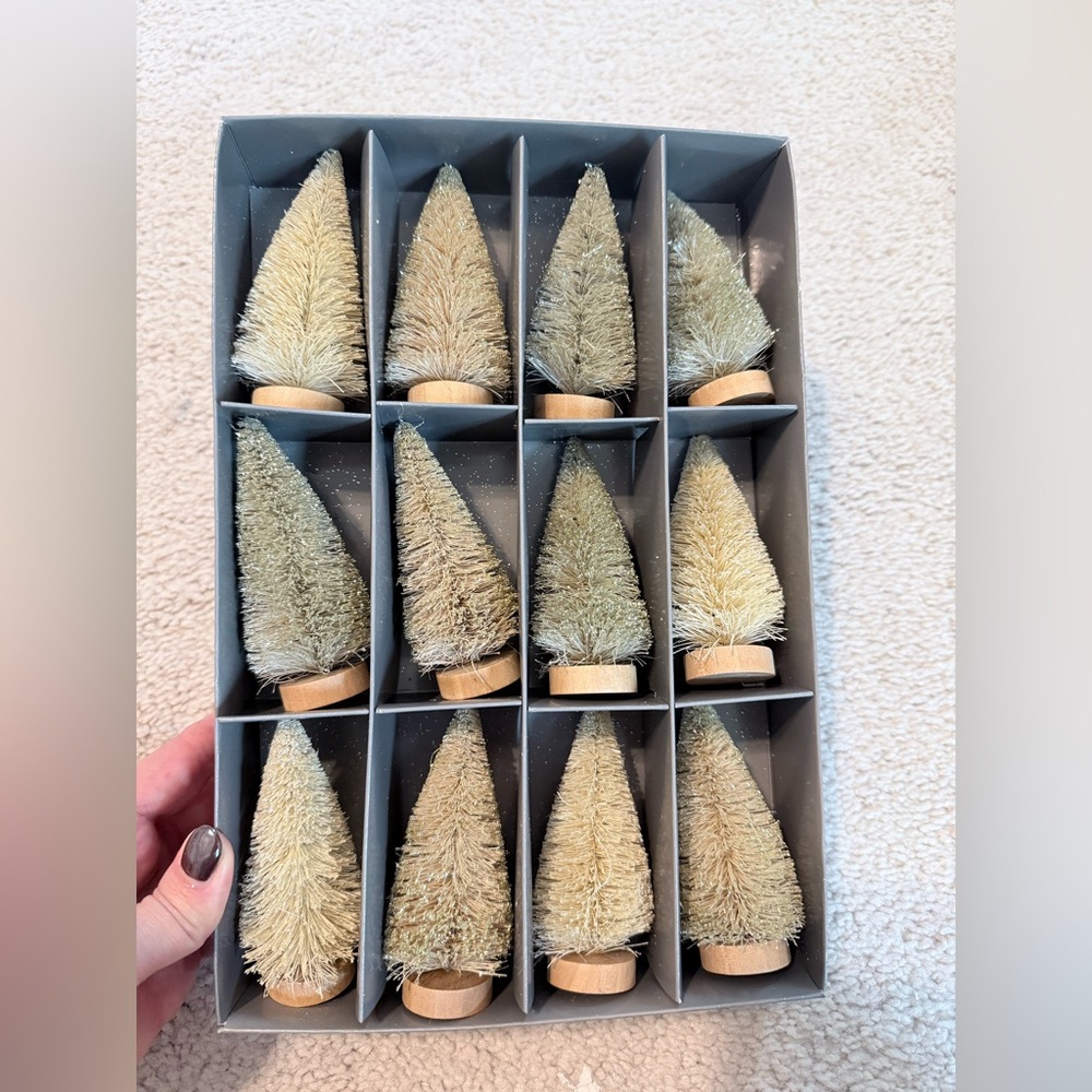 West Elm bottlebrush trees
